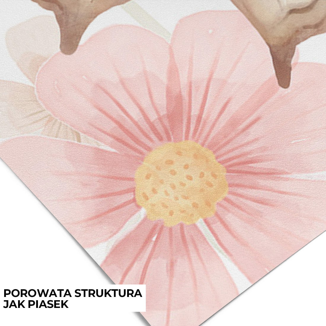 Tapeta na ścianę | Duże Motyle